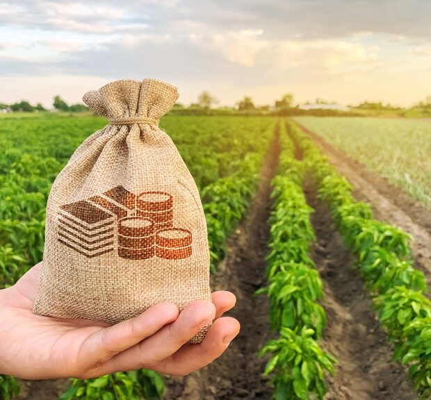 BB ameaça banir crédito a produtor rural que pedir recuperação judicial 