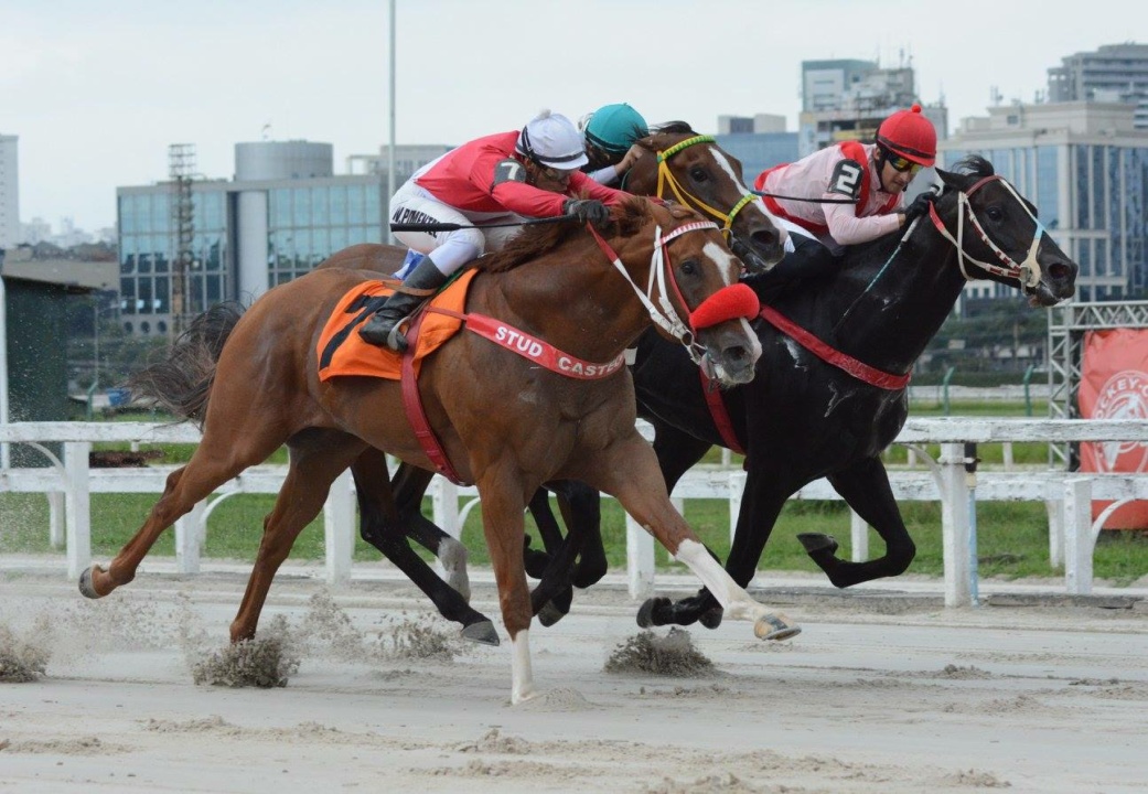 Jockey Club de SP não terá recuperação judicial por ser associação civil