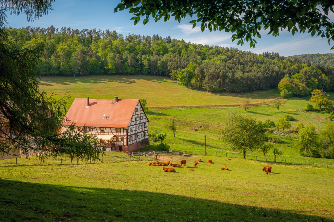 Cobrança de IPTU é afastada em imóvel urbano com destinação rural
